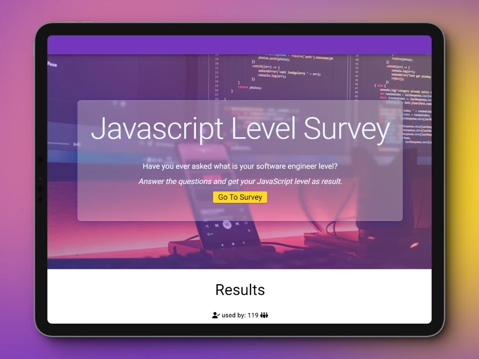 Programmer survey web app